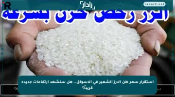 استقرار سعر طن الأرز الشعير في الأسواق.. هل سنشهد ارتفاعات جديدة قريباً؟
